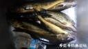 Filename=attachID_32119_postID_291802_IMG_20171105_014659.jpg
Filesize=82KiB
Dimensions=1000x562
Date added=May 17, 2018 attachID_32119_postID_291802_IMG_20171105_014659.jpg