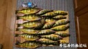 Filename=attachID_32386_postID_294159_IMAG0177.jpg
Filesize=113KiB
Dimensions=1000x565
Date added=May 17, 2018 attachID_32386_postID_294159_IMAG0177.jpg