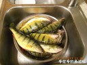 Filename=attachID_32411_postID_294381_DSCN1607.JPG
Filesize=98KiB
Dimensions=1000x750
Date added=May 17, 2018 attachID_32411_postID_294381_DSCN1607.JPG