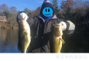Filename=attachID_32414_postID_294432_gloves2.png
Filesize=501KiB
Dimensions=867x599
Date added=May 17, 2018 attachID_32414_postID_294432_gloves2.png