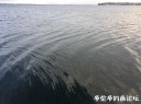 Filename=attachID_32418_postID_294452_33.jpg
Filesize=88KiB
Dimensions=979x734
Date added=May 17, 2018 attachID_32418_postID_294452_33.jpg