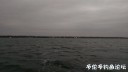 Filename=attachID_32475_postID_295078_IMAG0202.jpg
Filesize=40KiB
Dimensions=1000x565
Date added=May 17, 2018 attachID_32475_postID_295078_IMAG0202.jpg
