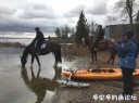 Filename=attachID_32490_postID_295198_1.jpg
Filesize=129KiB
Dimensions=979x734
Date added=May 17, 2018 attachID_32490_postID_295198_1.jpg