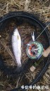 Filename=attachID_32501_postID_295263_IMG_20171126_2932.jpg
Filesize=123KiB
Dimensions=562x1000
Date added=May 17, 2018 attachID_32501_postID_295263_IMG_20171126_2932.jpg