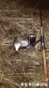 Filename=attachID_32535_postID_295471_IMG_20171128_170655.jpg
Filesize=102KiB
Dimensions=562x1000
Date added=May 17, 2018 attachID_32535_postID_295471_IMG_20171128_170655.jpg