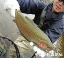 Filename=attachID_32571_postID_295788_IMG_20171130_55141-1.jpg
Filesize=76KiB
Dimensions=716x654
Date added=May 17, 2018 attachID_32571_postID_295788_IMG_20171130_55141-1.jpg