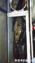 Filename=attachID_32589_postID_296034_20171201_201030.jpg
Filesize=68KiB
Dimensions=562x1000
Date added=May 17, 2018 attachID_32589_postID_296034_20171201_201030.jpg