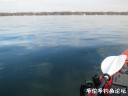 Filename=attachID_32603_postID_296156_5.jpg
Filesize=56KiB
Dimensions=1000x750
Date added=May 17, 2018 attachID_32603_postID_296156_5.jpg
