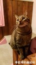 Filename=attachID_32626_postID_296429_IMG_20171112_214404.jpg
Filesize=64KiB
Dimensions=562x1000
Date added=May 17, 2018 attachID_32626_postID_296429_IMG_20171112_214404.jpg