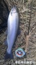 Filename=attachID_32647_postID_296842_IMG_20171207_16833.jpg
Filesize=122KiB
Dimensions=562x1000
Date added=May 17, 2018 attachID_32647_postID_296842_IMG_20171207_16833.jpg