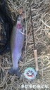 Filename=attachID_32653_postID_296872_IMG_20171207_8885.jpg
Filesize=121KiB
Dimensions=562x1000
Date added=May 17, 2018 attachID_32653_postID_296872_IMG_20171207_8885.jpg