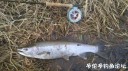 Filename=attachID_32654_postID_296875_IMG_20171207_40466.jpg
Filesize=122KiB
Dimensions=1000x562
Date added=May 17, 2018 attachID_32654_postID_296875_IMG_20171207_40466.jpg