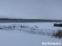 Filename=attachID_32786_postID_298375_DD7A8DCE-EA5E-4834-9CED-CA4E6C762CD8.jpeg
Filesize=56KiB
Dimensions=1000x750
Date added=May 17, 2018 attachID_32786_postID_298375_DD7A8DCE-EA5E-4834-9CED-CA4E6C762CD8.jpeg