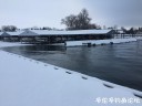 Filename=attachID_32788_postID_298376_72313B53-01F0-4102-8C46-7D0E070D28A5.jpeg
Filesize=72KiB
Dimensions=1000x750
Date added=May 17, 2018 attachID_32788_postID_298376_72313B53-01F0-4102-8C46-7D0E070D28A5.jpeg