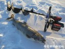 Filename=attachID_32828_postID_298594_auger.jpg
Filesize=136KiB
Dimensions=1000x750
Date added=May 17, 2018 attachID_32828_postID_298594_auger.jpg