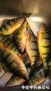 Filename=attachID_33001_postID_300169_IMG_6579.PNG
Filesize=770KiB
Dimensions=563x1000
Date added=May 17, 2018 attachID_33001_postID_300169_IMG_6579.PNG