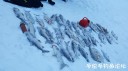 Filename=attachID_33012_postID_300358_20180101_161141.jpg
Filesize=70KiB
Dimensions=1000x562
Date added=May 17, 2018 attachID_33012_postID_300358_20180101_161141.jpg