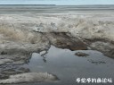 Filename=attachID_33041_postID_300552_34.jpg
Filesize=84KiB
Dimensions=979x734
Date added=May 17, 2018 attachID_33041_postID_300552_34.jpg