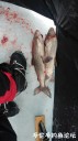 Filename=attachID_33077_postID_300885_20180107_104528.jpg
Filesize=81KiB
Dimensions=562x1000
Date added=May 17, 2018 attachID_33077_postID_300885_20180107_104528.jpg