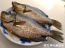 Filename=attachID_33114_postID_301376_80.jpg
Filesize=114KiB
Dimensions=1000x750
Date added=May 17, 2018 attachID_33114_postID_301376_80.jpg