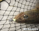 Filename=attachID_33118_postID_301399_658.png
Filesize=839KiB
Dimensions=816x661
Date added=May 17, 2018 attachID_33118_postID_301399_658.png
