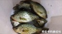 Filename=attachID_33434_postID_304771_1_27e.JPG
Filesize=79KiB
Dimensions=1000x562
Date added=May 17, 2018 attachID_33434_postID_304771_1_27e.JPG