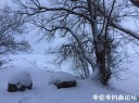 Filename=attachID_33446_postID_305010_1.jpg
Filesize=173KiB
Dimensions=979x734
Date added=May 17, 2018 attachID_33446_postID_305010_1.jpg