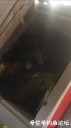 Filename=attachID_33571_postID_306657_A513E85A-BA81-4CBB-AE78-B759FB1752F4.png
Filesize=580KiB
Dimensions=562x1000
Date added=May 17, 2018 attachID_33571_postID_306657_A513E85A-BA81-4CBB-AE78-B759FB1752F4.png