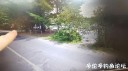 Filename=attachID_33678_postID_307323_IMG_2852.JPG
Filesize=72KiB
Dimensions=1000x562
Date added=May 17, 2018 attachID_33678_postID_307323_IMG_2852.JPG