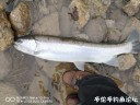 Filename=attachID_33792_postID_307938_IMG-20180306-WA0006.jpg
Filesize=96KiB
Dimensions=1000x750
Date added=May 17, 2018 attachID_33792_postID_307938_IMG-20180306-WA0006.jpg