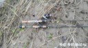 Filename=attachID_33819_postID_308267_IMG_20180225_082846.jpg
Filesize=140KiB
Dimensions=1000x562
Date added=May 17, 2018 attachID_33819_postID_308267_IMG_20180225_082846.jpg