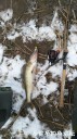 Filename=attachID_33861_postID_308582_IMG_20180311_145818.jpg
Filesize=118KiB
Dimensions=562x1000
Date added=May 17, 2018 attachID_33861_postID_308582_IMG_20180311_145818.jpg