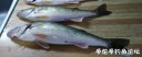 Filename=attachID_33862_postID_308582_IMG_20180311_191255.jpg
Filesize=55KiB
Dimensions=1000x413
Date added=May 17, 2018 attachID_33862_postID_308582_IMG_20180311_191255.jpg