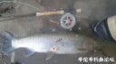 Filename=attachID_33866_postID_308678_IMG_20180312_59285.jpg
Filesize=61KiB
Dimensions=1000x562
Date added=May 17, 2018 attachID_33866_postID_308678_IMG_20180312_59285.jpg