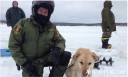 Filename=attachID_33875_postID_308729_gun2.jpg
Filesize=64KiB
Dimensions=1000x608
Date added=May 17, 2018 attachID_33875_postID_308729_gun2.jpg