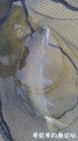 Filename=attachID_33898_postID_308931_IMG_20180315_9682.jpg
Filesize=101KiB
Dimensions=562x1000
Date added=May 17, 2018 attachID_33898_postID_308931_IMG_20180315_9682.jpg