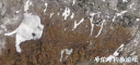 Filename=attachID_33967_postID_309584_ice.png
Filesize=618KiB
Dimensions=1000x474
Date added=May 17, 2018 attachID_33967_postID_309584_ice.png