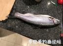 Filename=attachID_33996_postID_309799_trout.png
Filesize=529KiB
Dimensions=589x431
Date added=May 17, 2018 attachID_33996_postID_309799_trout.png