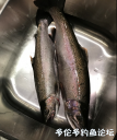Filename=attachID_34065_postID_310316_trout4.png
Filesize=753KiB
Dimensions=620x740
Date added=May 17, 2018 attachID_34065_postID_310316_trout4.png