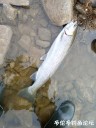Filename=attachID_34103_postID_310524_IMG_20180328_090154.jpg
Filesize=113KiB
Dimensions=750x1000
Date added=May 17, 2018 attachID_34103_postID_310524_IMG_20180328_090154.jpg