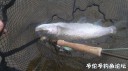 Filename=attachID_34108_postID_310525_IMG_20180328_3183.jpg
Filesize=91KiB
Dimensions=1000x562
Date added=May 17, 2018 attachID_34108_postID_310525_IMG_20180328_3183.jpg