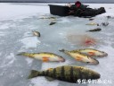 Filename=attachID_34115_postID_310564_IMG_1115.JPG
Filesize=93KiB
Dimensions=1000x750
Date added=May 17, 2018 attachID_34115_postID_310564_IMG_1115.JPG