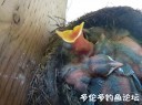 Filename=attachID_34125_postID_310668_mmexport1437301633746.jpeg
Filesize=69KiB
Dimensions=750x562
Date added=May 17, 2018 attachID_34125_postID_310668_mmexport1437301633746.jpeg
