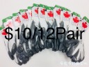 Filename=attachID_34219_postID_311115_WeChatImage_20180329013909W1.jpg
Filesize=94KiB
Dimensions=1000x750
Date added=May 17, 2018 attachID_34219_postID_311115_WeChatImage_20180329013909W1.jpg