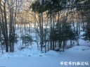 Filename=attachID_34241_postID_311341_1.jpg
Filesize=175KiB
Dimensions=979x734
Date added=May 17, 2018 attachID_34241_postID_311341_1.jpg