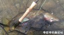 Filename=attachID_34266_postID_311656_IMG_20180409_50110.jpg
Filesize=114KiB
Dimensions=1000x562
Date added=May 17, 2018 attachID_34266_postID_311656_IMG_20180409_50110.jpg