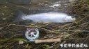 Filename=attachID_34272_postID_311758_IMG_20180410_6626.jpg
Filesize=98KiB
Dimensions=1000x562
Date added=May 17, 2018 attachID_34272_postID_311758_IMG_20180410_6626.jpg