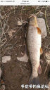 Filename=attachID_34287_postID_312060_IMG_3086.PNG
Filesize=835KiB
Dimensions=562x1000
Date added=May 17, 2018 attachID_34287_postID_312060_IMG_3086.PNG