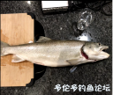 Filename=attachID_34300_postID_312172_laker1.png
Filesize=616KiB
Dimensions=629x533
Date added=May 17, 2018 attachID_34300_postID_312172_laker1.png