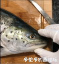 Filename=attachID_34357_postID_312617_zl.png
Filesize=510KiB
Dimensions=543x581
Date added=May 17, 2018 attachID_34357_postID_312617_zl.png